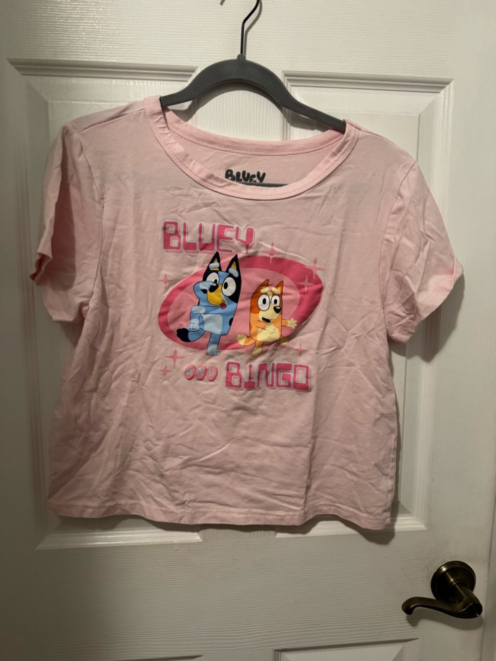 Bluey & Bingo Pink Graphic Crop Top